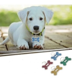 საყელო Rarlon PT009 L მწვანე ლურჯი წითელი ყვითელი ვარდისფერი ვერცხლისფერი