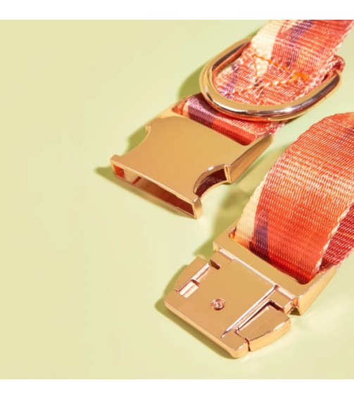 საყელო MIDEPET HJ-Desert S სტაფილოსფერი