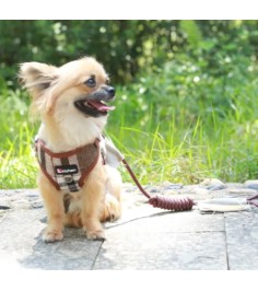 საკაზმი და საბელი Zichen Y12 ყავისფერი 