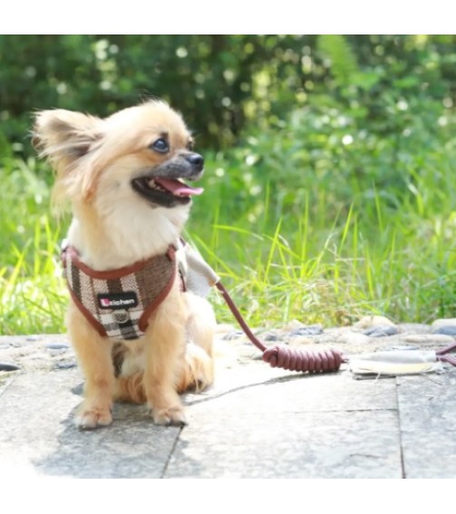 საკაზმი და საბელი Zichen Y12 ყავისფერი საკაზმი და საბელი Zichen Y12 ყავისფერი