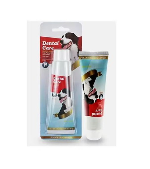 კბილის პასტა Dental Care BHY005