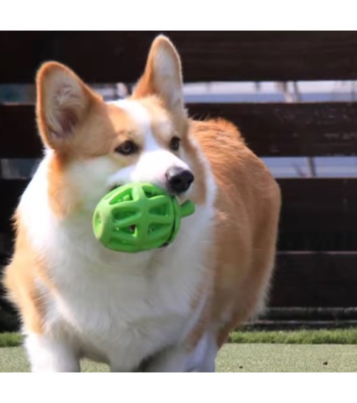 საღეჭი Senye SYSM-012 12cm მწვანე 