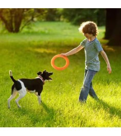 ძაღლის საფრენი დისკი Guyue31 PTFP-01 L ნარინჯისფერი 