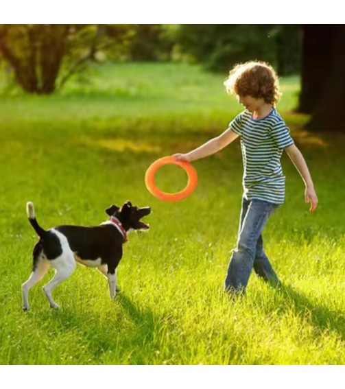 ძაღლის საფრენი დისკი Guyue31 PTFP-01 L ნარინჯისფერი ძაღლის საფრენი დისკი Guyue31 PTFP-01 L ნარინჯისფერი