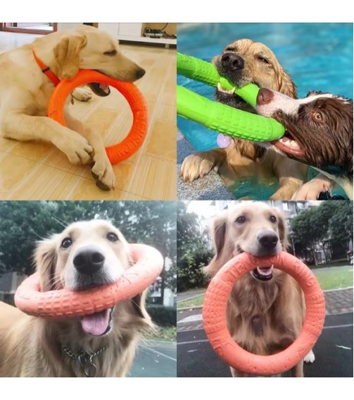 ძაღლის საფრენი დისკი Guyue31 PTFP-01 L ნარინჯისფერი ძაღლის საფრენი დისკი Guyue31 PTFP-01 L ნარინჯისფერი