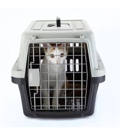 გადასაყვანი Peastc P202 თეთრი